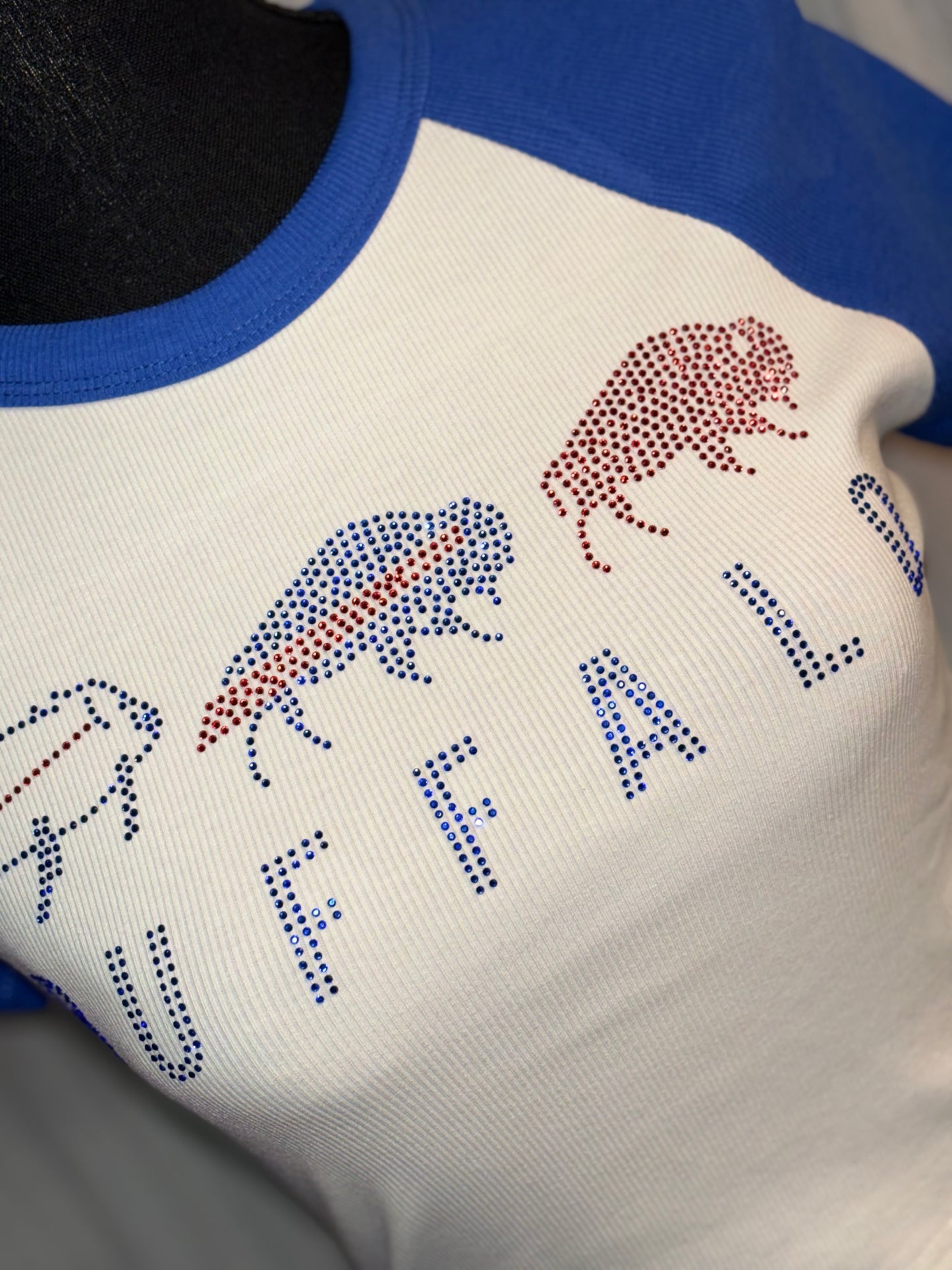 Women’s Fitted Raglan Crop Top Royal